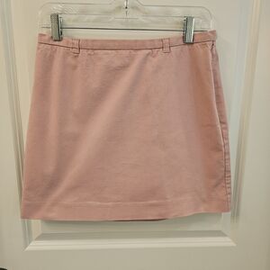 Ann Taylor Women's Stretch Pink Skirt | Size 6